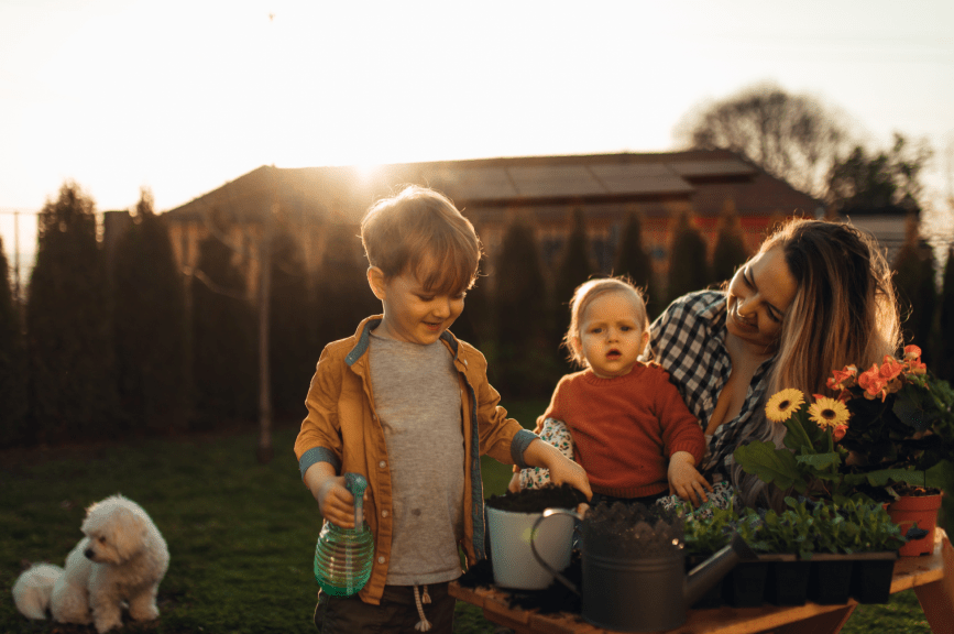 gardening with solar blog mobile image